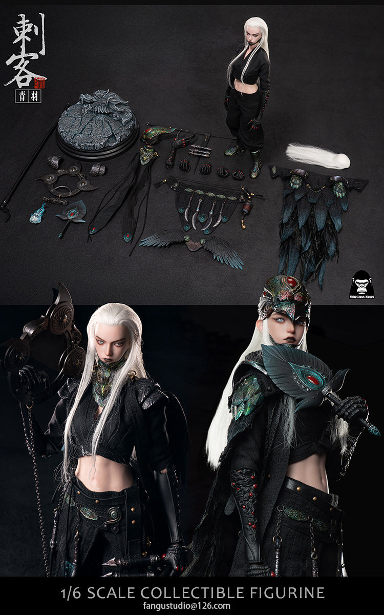 Fangustudio 1/6 Assassin Qingyu 反骨模玩刺客青羽 CK-001