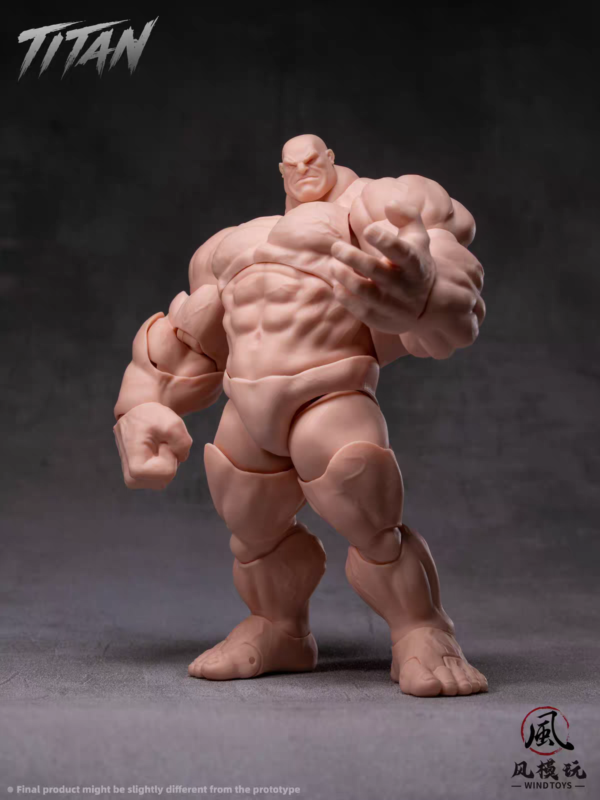 PRE ORDER - 19cm Wind toys 1/12 Titan action figure 7.5 inch FMW009 FMW010 FMW011 FMW012 White Green Red Gray