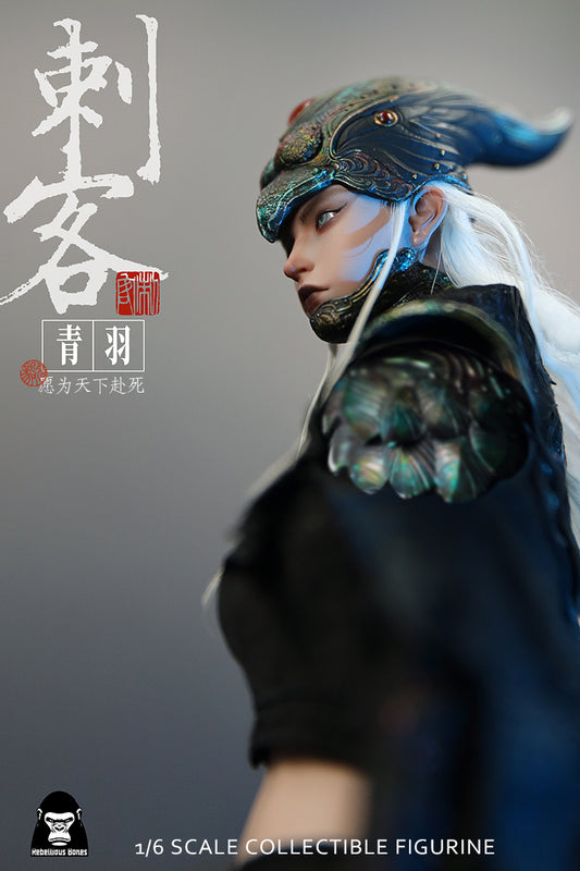 Fangustudio 1/6 Assassin Qingyu 反骨模玩刺客青羽 CK-001