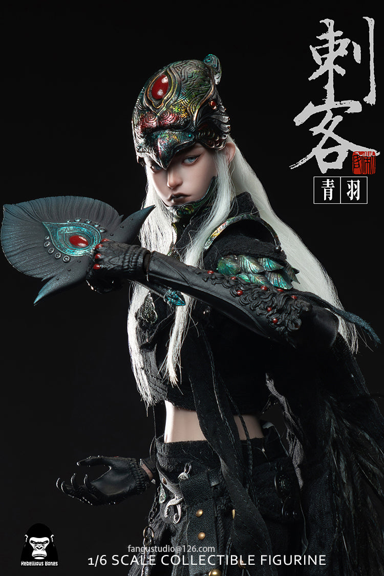 Fangustudio 1/6 Assassin Qingyu 反骨模玩刺客青羽 CK-001
