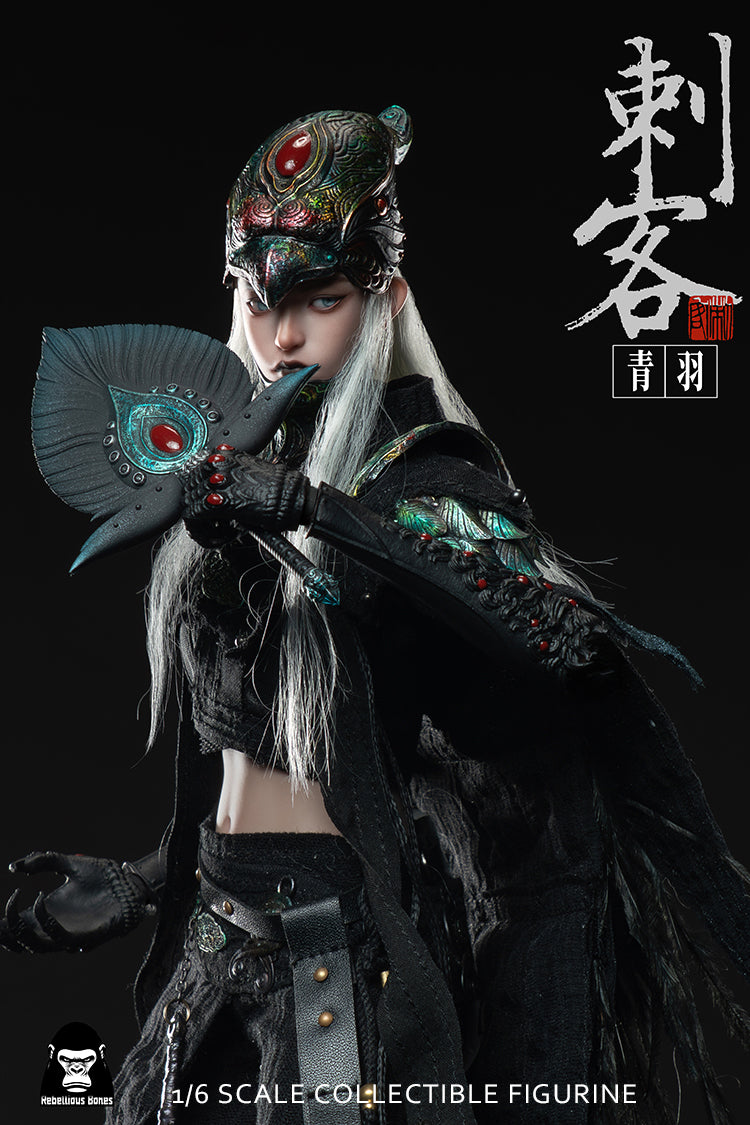 Fangustudio 1/6 Assassin Qingyu 反骨模玩刺客青羽 CK-001