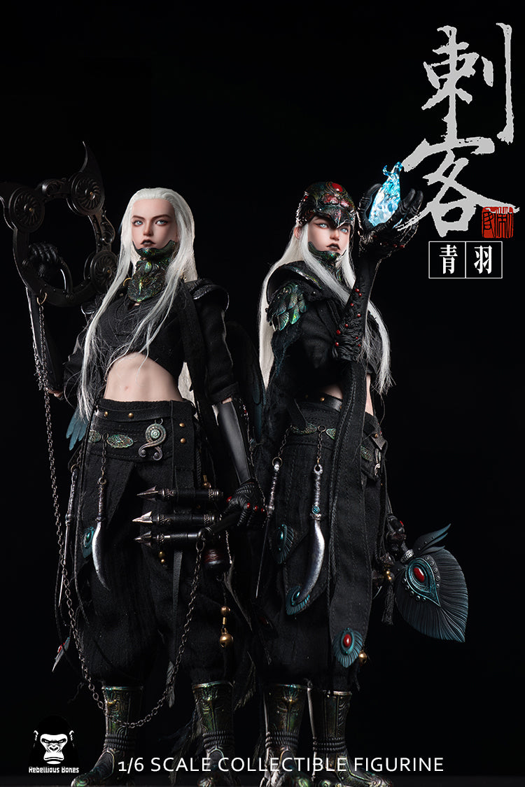 Fangustudio 1/6 Assassin Qingyu 反骨模玩刺客青羽 CK-001