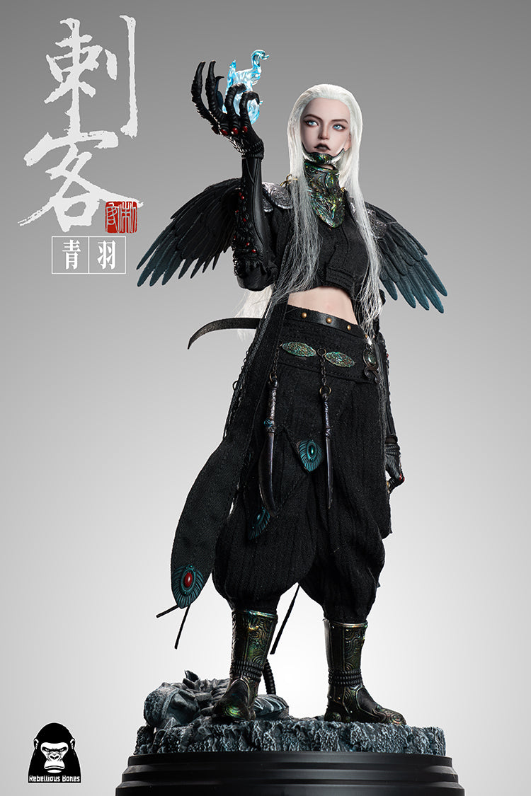 Fangustudio 1/6 Assassin Qingyu 反骨模玩刺客青羽 CK-001