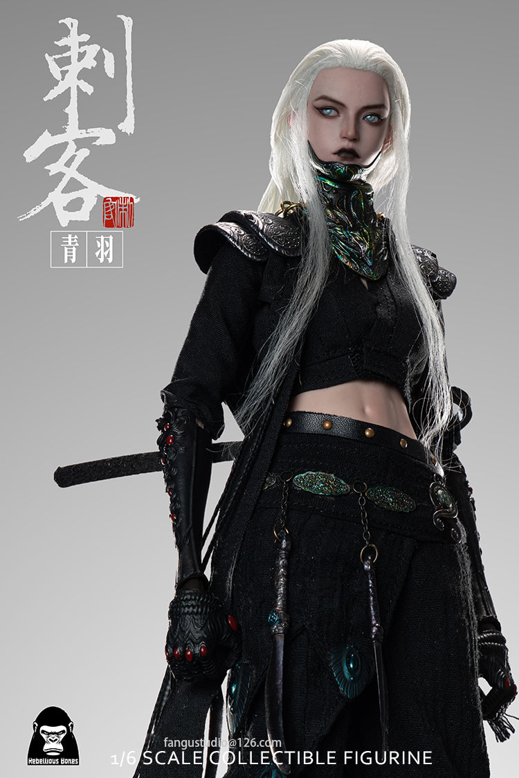 Fangustudio 1/6 Assassin Qingyu 反骨模玩刺客青羽 CK-001
