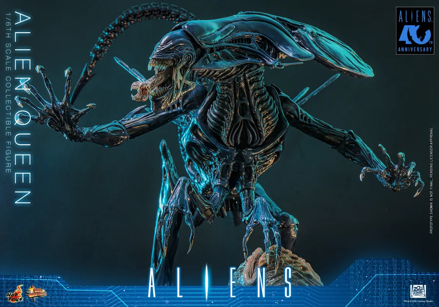 PRE ORDER - Hot Toys MMS903 – Aliens - 1/6 scale Alien Queen Collectible Figure