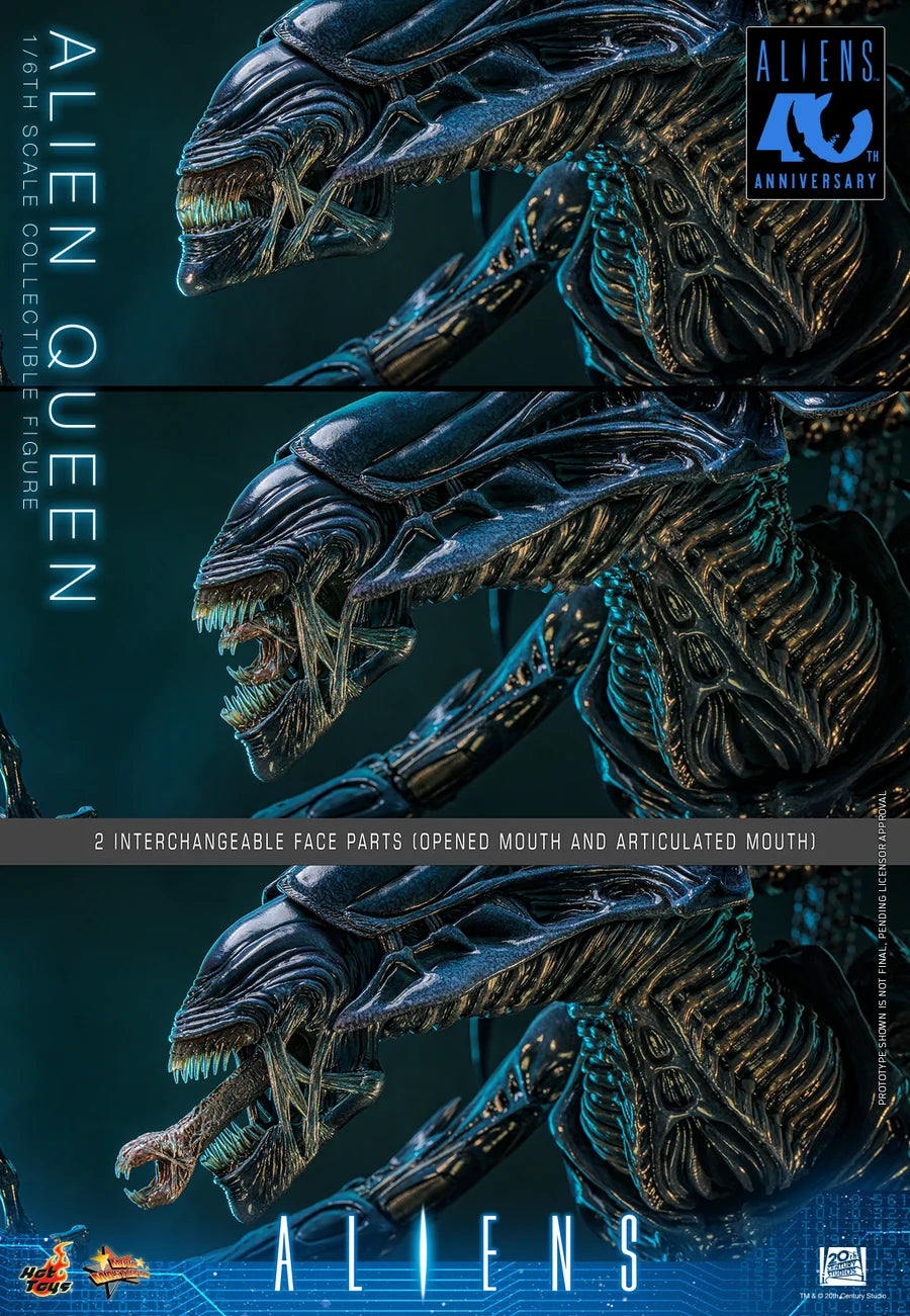 PRE ORDER - Hot Toys MMS903 – Aliens - 1/6 scale Alien Queen Collectible Figure