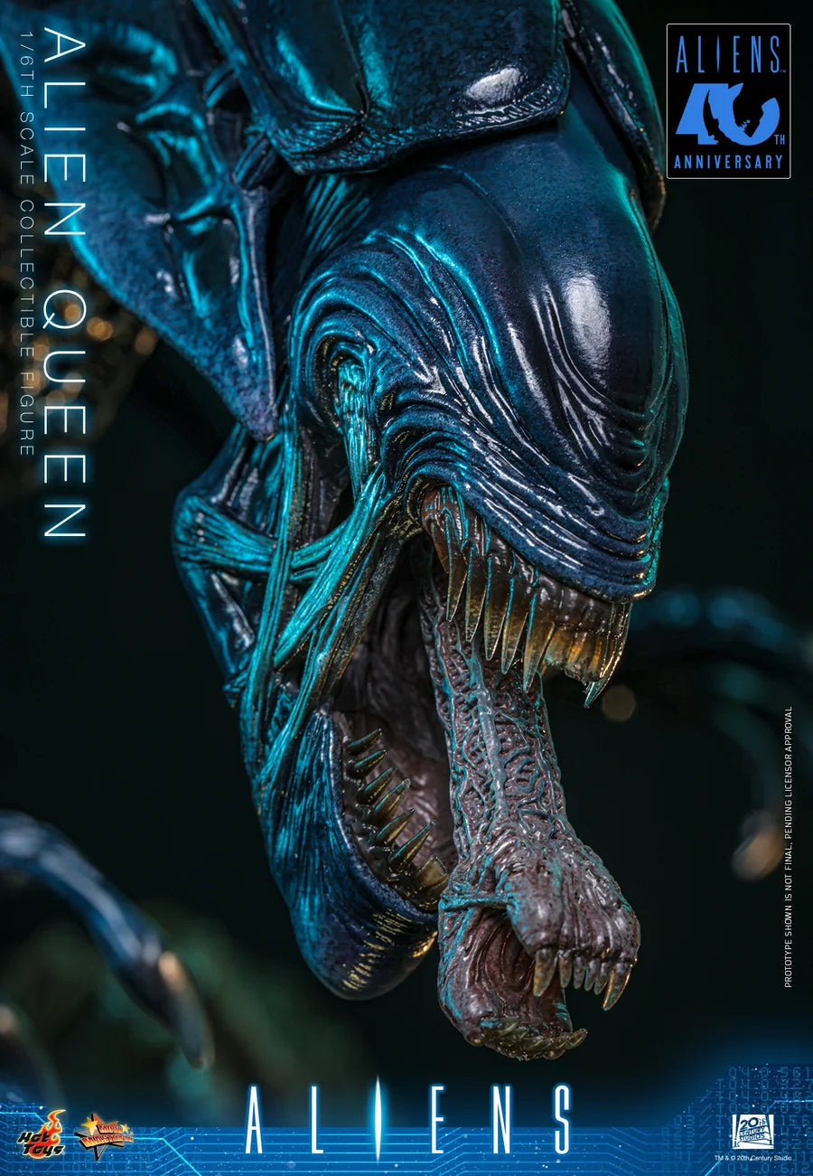 PRE ORDER - Hot Toys MMS903 – Aliens - 1/6 scale Alien Queen Collectible Figure