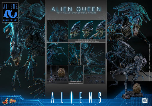 PRE ORDER - Hot Toys MMS903 – Aliens - 1/6 scale Alien Queen Collectible Figure