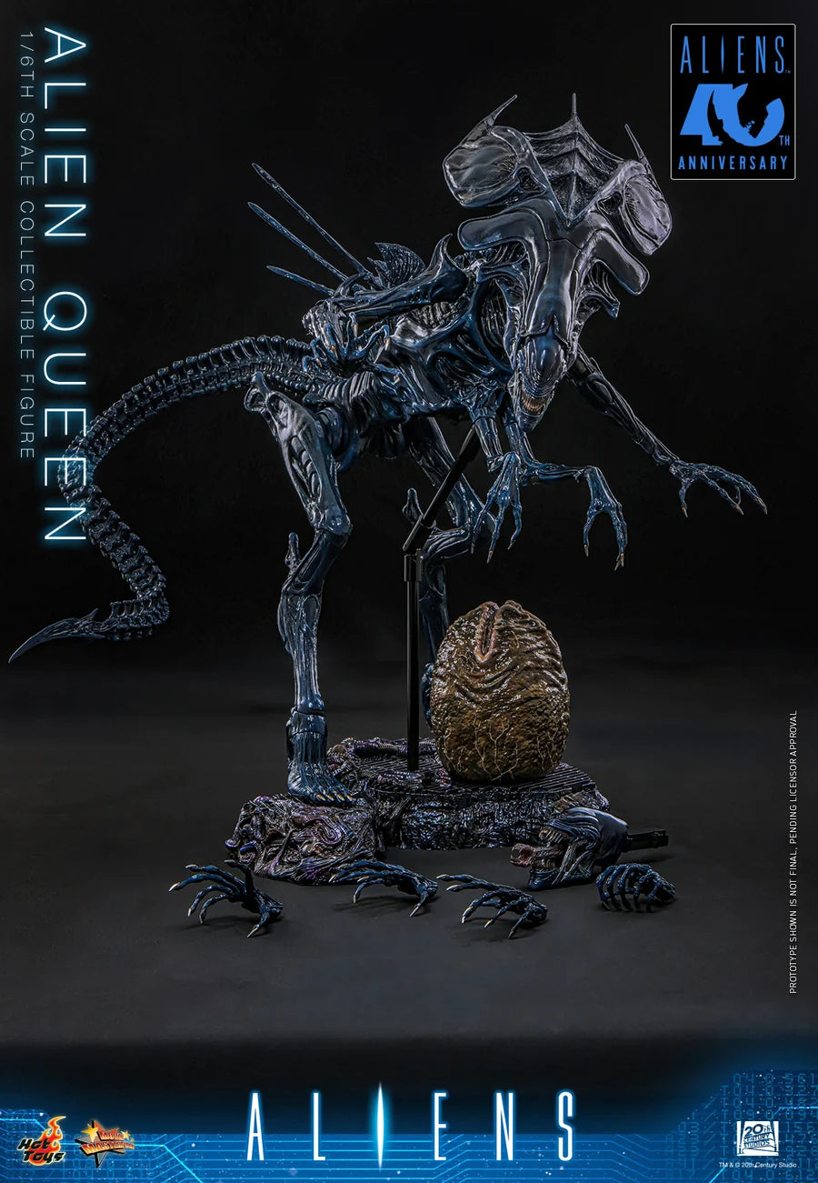 PRE ORDER - Hot Toys MMS903 – Aliens - 1/6 scale Alien Queen Collectible Figure