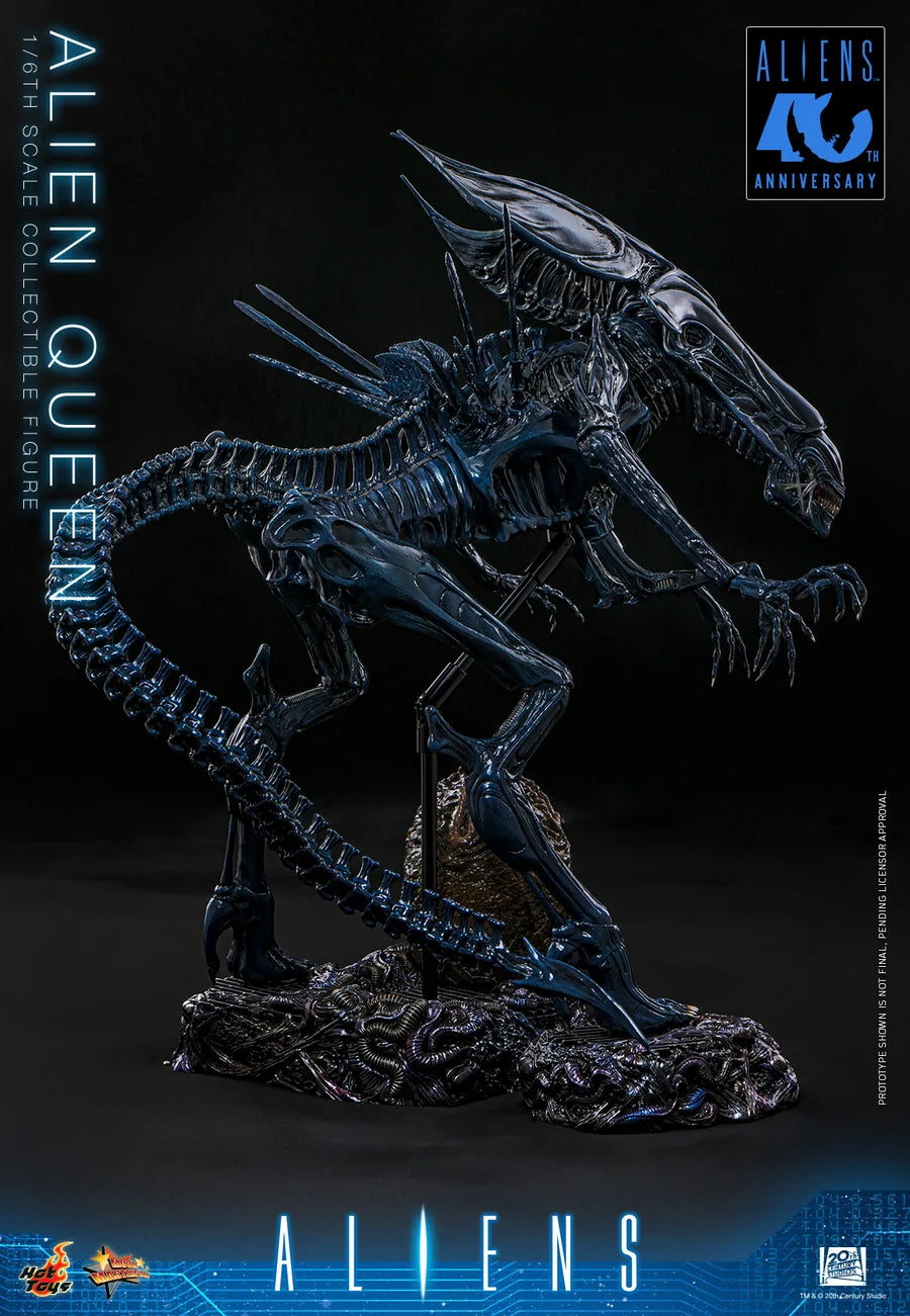 PRE ORDER - Hot Toys MMS903 – Aliens - 1/6 scale Alien Queen Collectible Figure