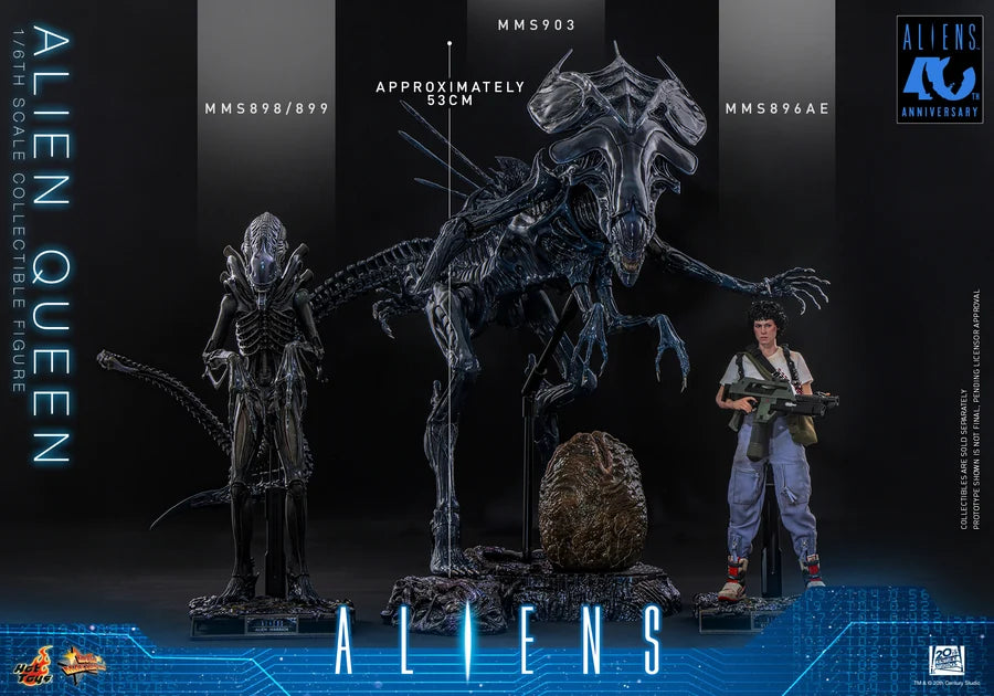 PRE ORDER - Hot Toys MMS903 – Aliens - 1/6 scale Alien Queen Collectible Figure
