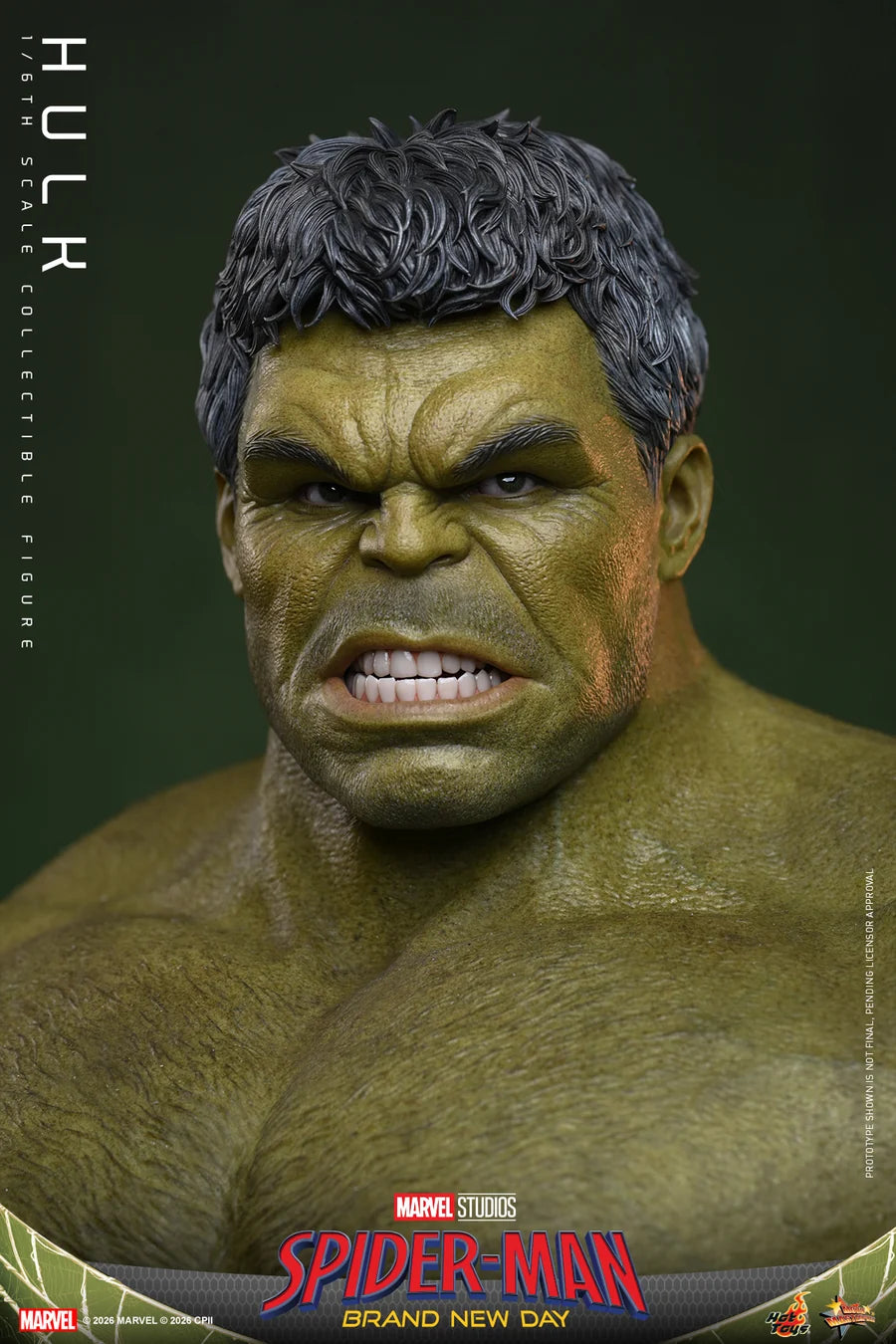 PRE ORDER - Hot Toys MMS905 – Spider-Man: Brand New Day - 1/6 scale Hulk Collectible Figure