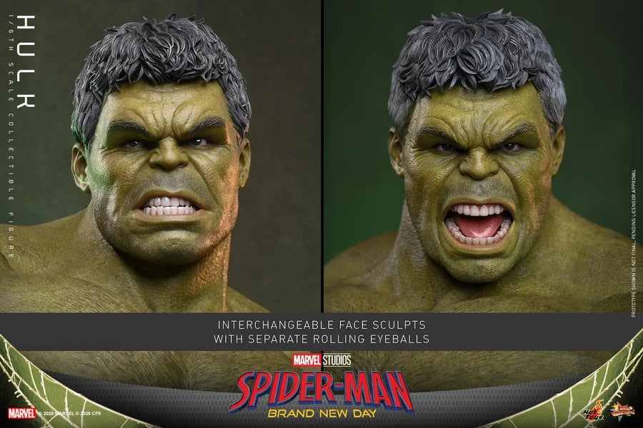 PRE ORDER - Hot Toys MMS905 – Spider-Man: Brand New Day - 1/6 scale Hulk Collectible Figure