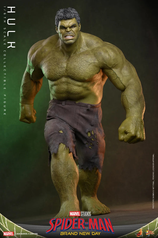 PRE ORDER - Hot Toys MMS905 – Spider-Man: Brand New Day - 1/6 scale Hulk Collectible Figure