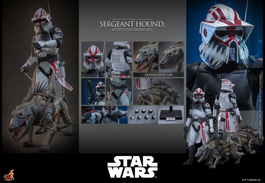 Hot Toys TMS167 Star Wars: The Clone Wars 1/6 scale Sergeant Hound