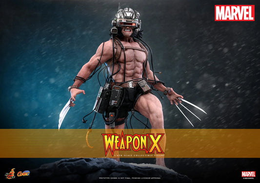 PRE ORDER - Hot Toys Weapon X Wolverine CMS034 1/6 Scale Collectible Figures