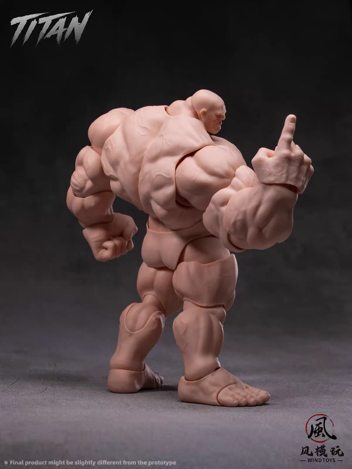 PRE ORDER - 19cm Wind toys 1/12 Titan action figure 7.5 inch FMW009 FMW010 FMW011 FMW012 White Green Red Gray