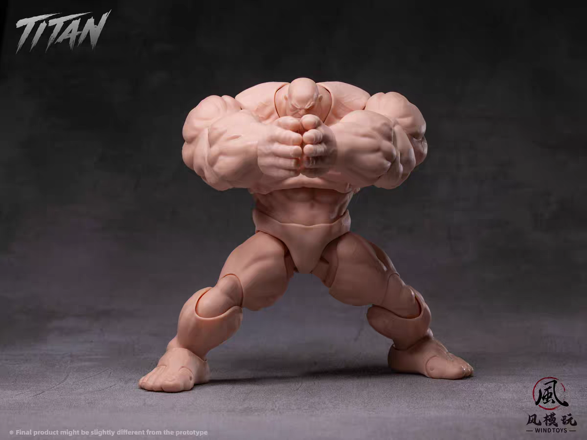 PRE ORDER - 19cm Wind toys 1/12 Titan action figure 7.5 inch FMW009 FMW010 FMW011 FMW012 White Green Red Gray