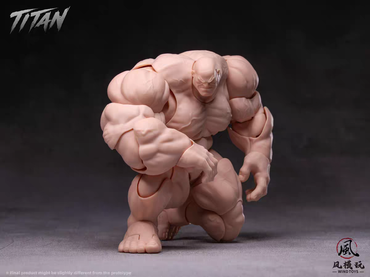 PRE ORDER - 19cm Wind toys 1/12 Titan action figure 7.5 inch FMW009 FMW010 FMW011 FMW012 White Green Red Gray